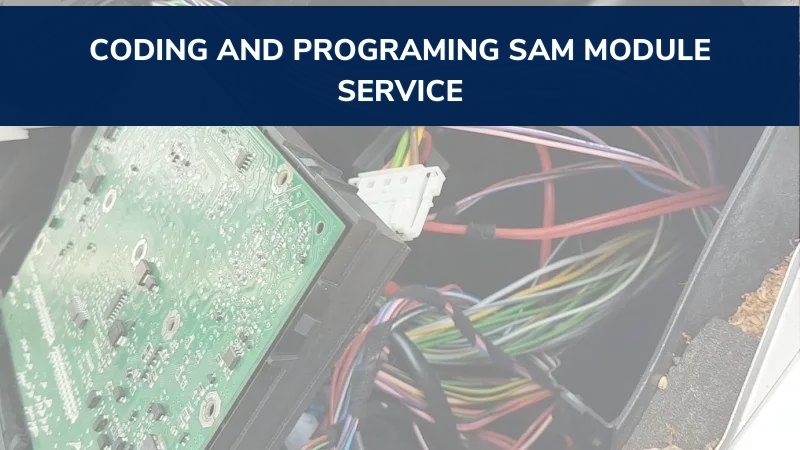 Coding-and-programing-sam-module-service