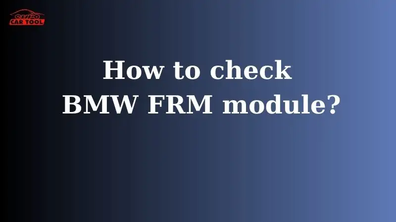 how-to-check-bmw-frm-module